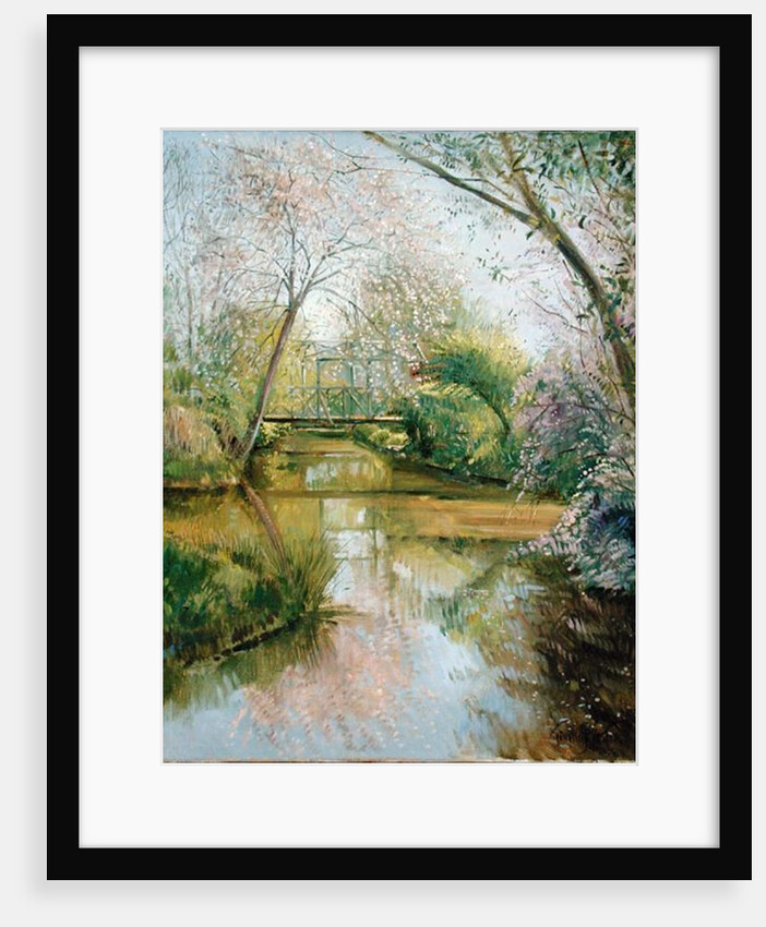 Full Blossom by Timothy Easton