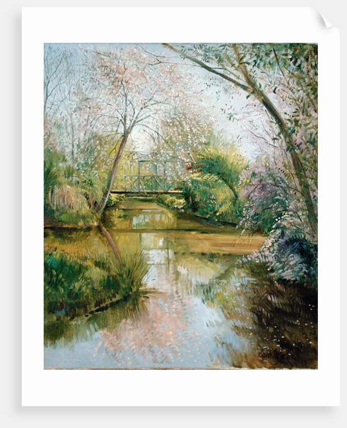 Full Blossom by Timothy Easton