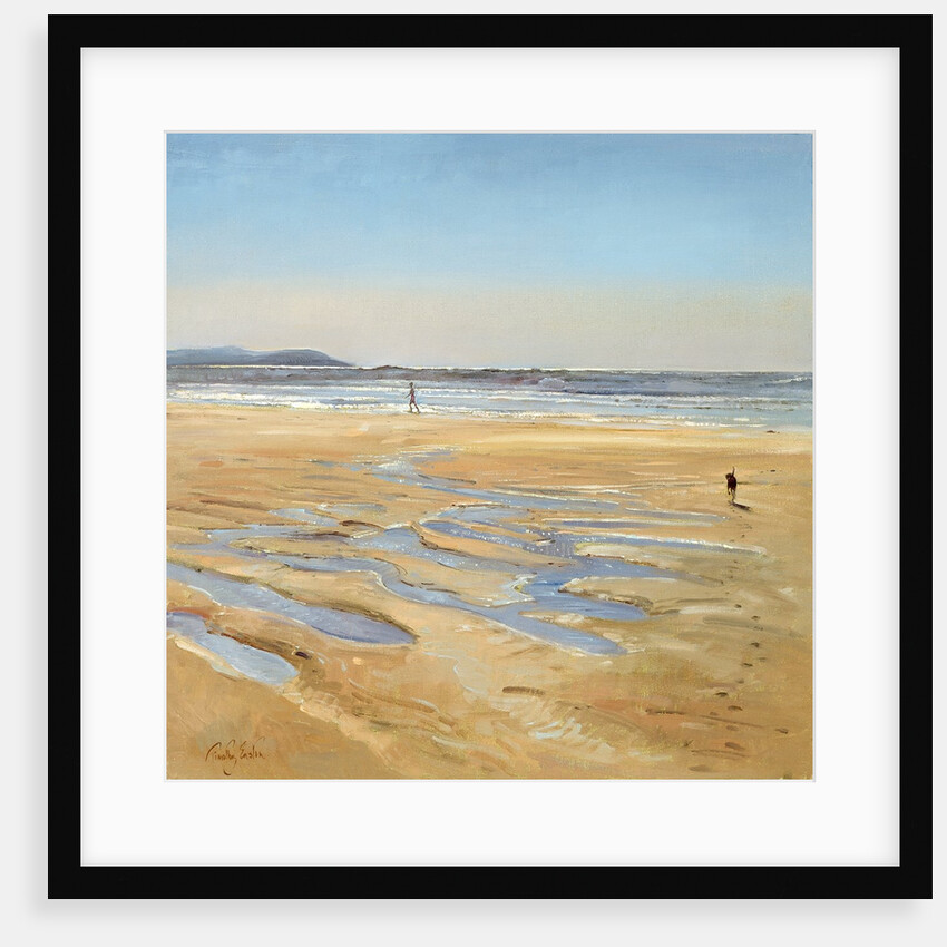 Beach Strollers by Timothy Easton