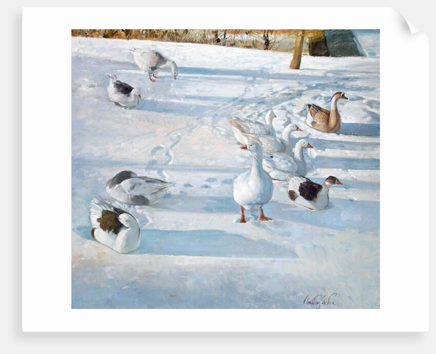 Resting on the Slope by Timothy Easton