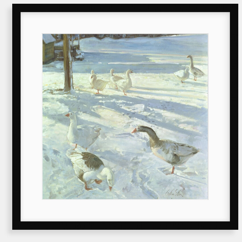 Snowfeeders, 1999 by Timothy Easton