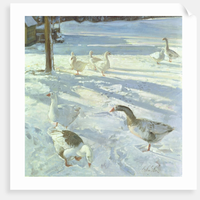 Snowfeeders, 1999 by Timothy Easton