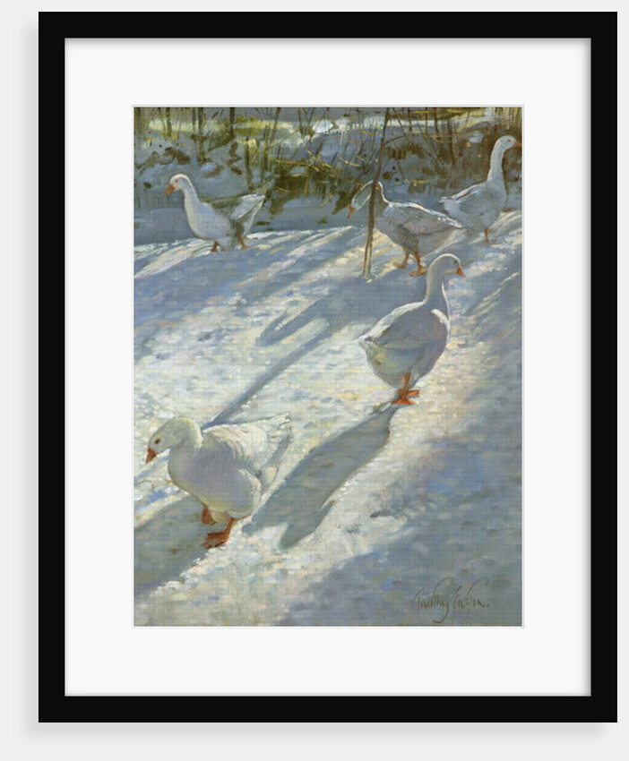 Exploring the Slope by Timothy Easton