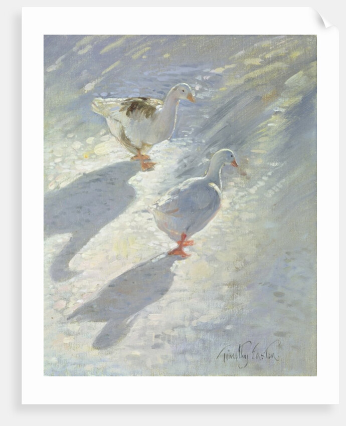 Against the Slope by Timothy Easton