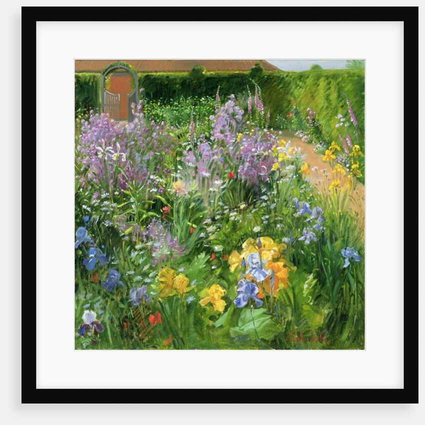 Sweet Rocket, Foxgloves and Irises, 2000 by Timothy Easton