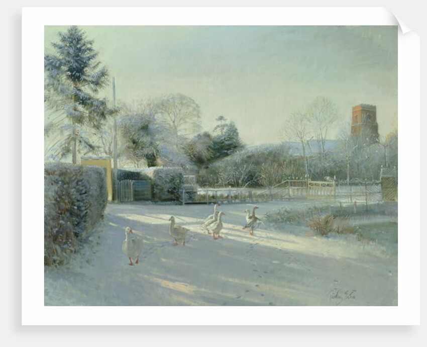 Church Boundary, Bedfield by Timothy Easton