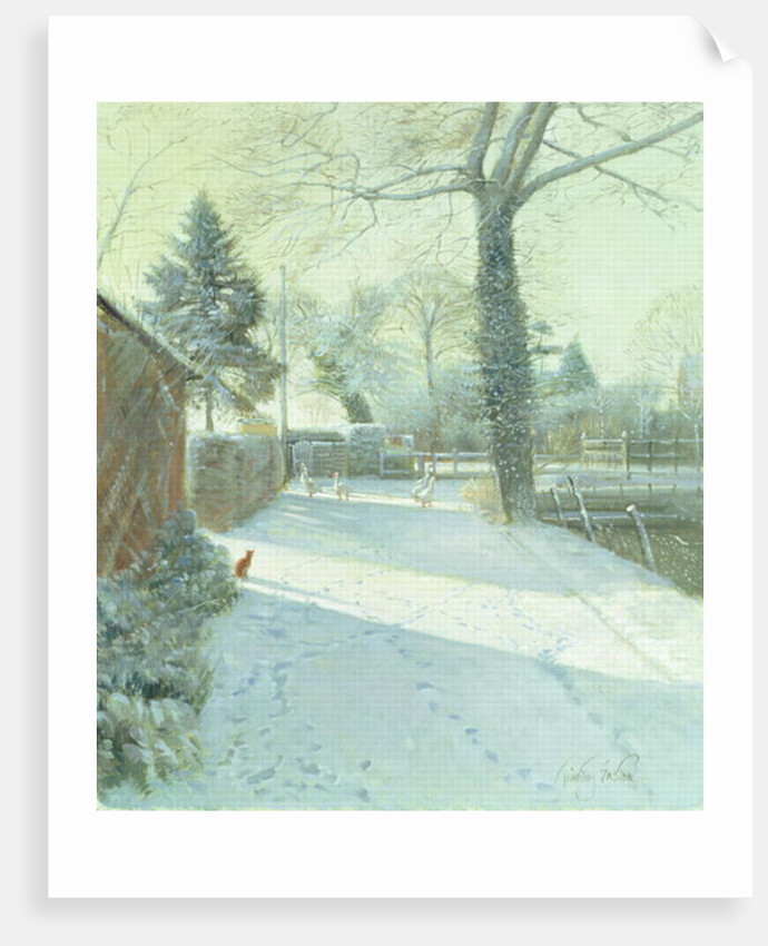 Criss-Cross by Timothy Easton