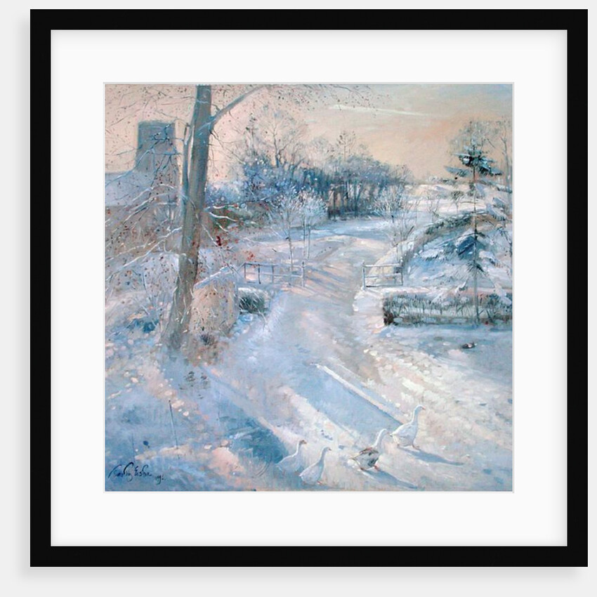 Between the Shadows by Timothy Easton