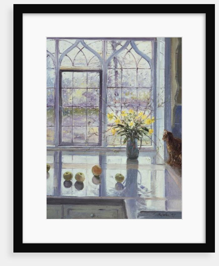 Rain Watching by Timothy Easton