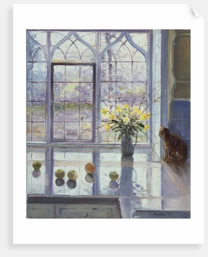 Rain Watching by Timothy Easton