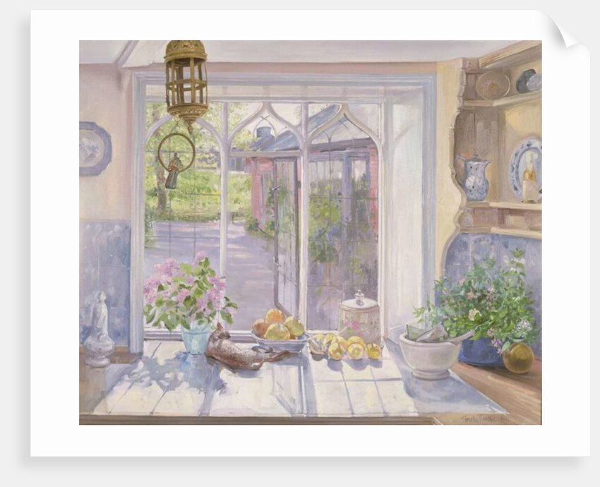 The Ignored Bird by Timothy Easton