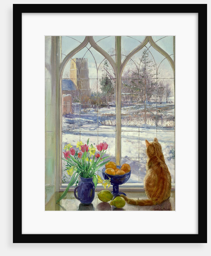Snow Shadows and Cat by Timothy Easton