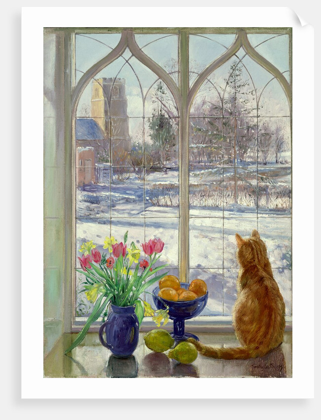 Snow Shadows and Cat by Timothy Easton