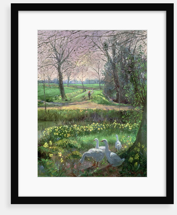 Spring Walk by Timothy Easton