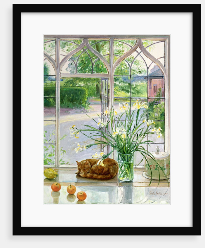 Irises and sleeping cat, 1990 by Timothy Easton