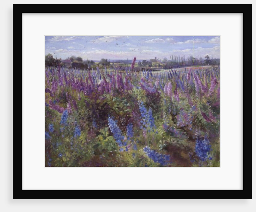 Delphinium Field and Church by Timothy Easton
