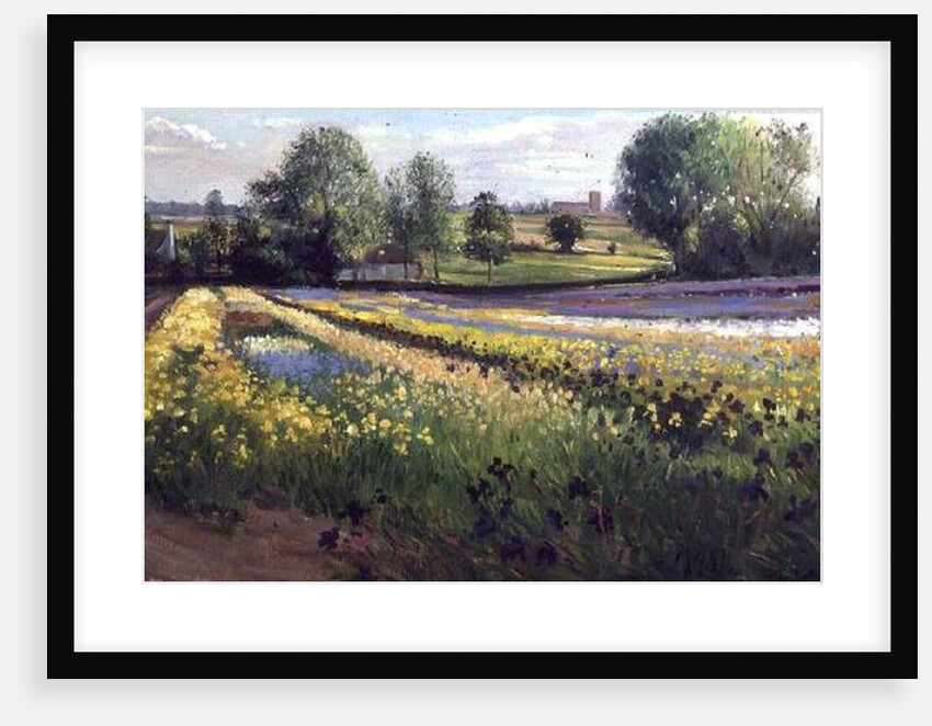 Iris Slope, 1991 by Timothy Easton