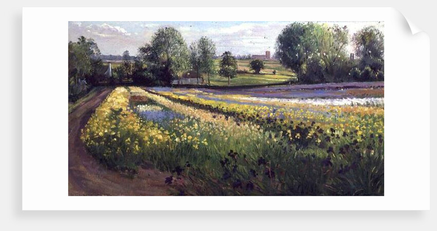 Iris Slope, 1991 by Timothy Easton