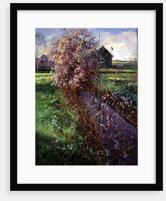 Bearded Bush by Timothy Easton