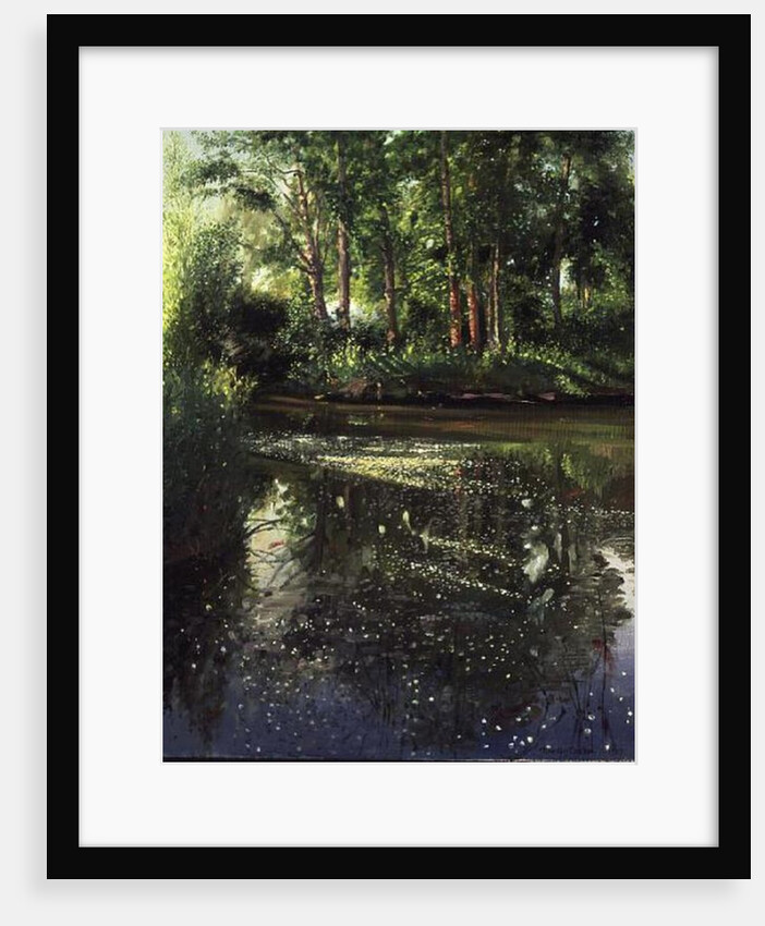 Waterflowers at Sunrise by Timothy Easton