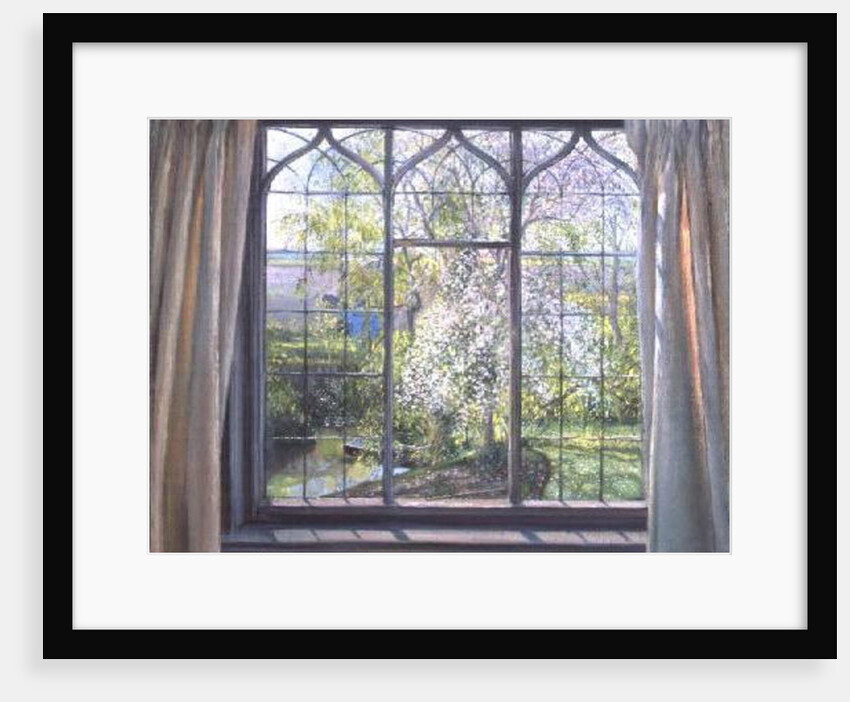 Apple Blossom Against Willow, 1990 by Timothy Easton