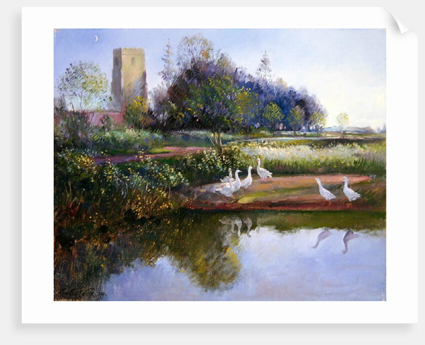 Geese at Sundown, 1991 by Timothy Easton