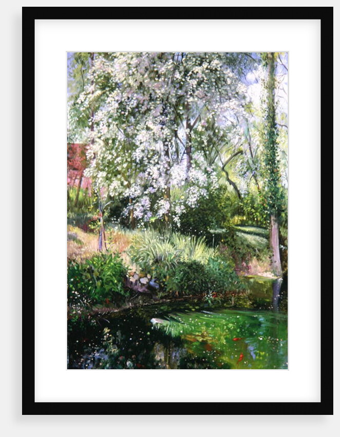 May Petals on the Moat Edge by Timothy Easton