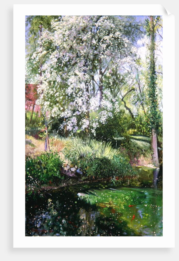 May Petals on the Moat Edge by Timothy Easton