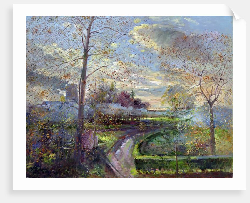 Smoke Drift, Autumn by Timothy Easton