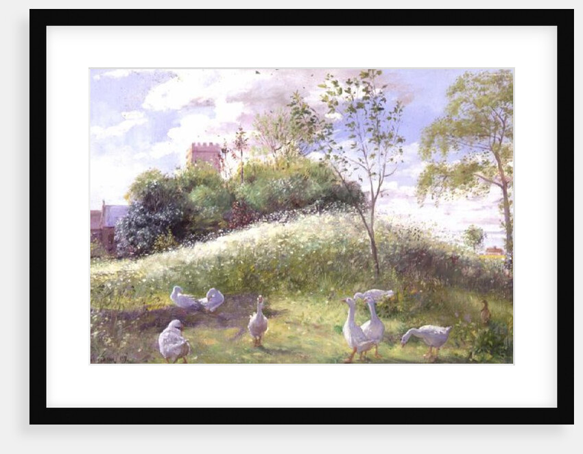 May Mount, 1991 by Timothy Easton