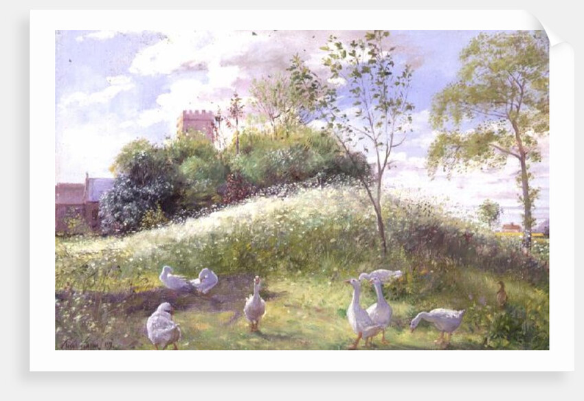 May Mount, 1991 by Timothy Easton