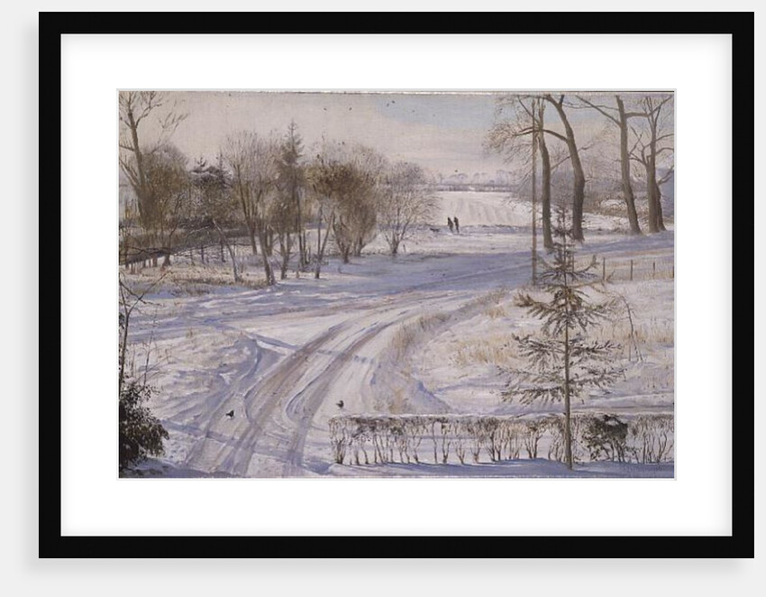 Moorhens Searching by Timothy Easton