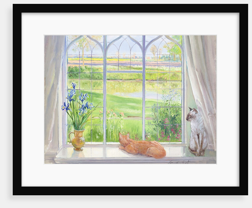 Evening Breeze by Timothy Easton