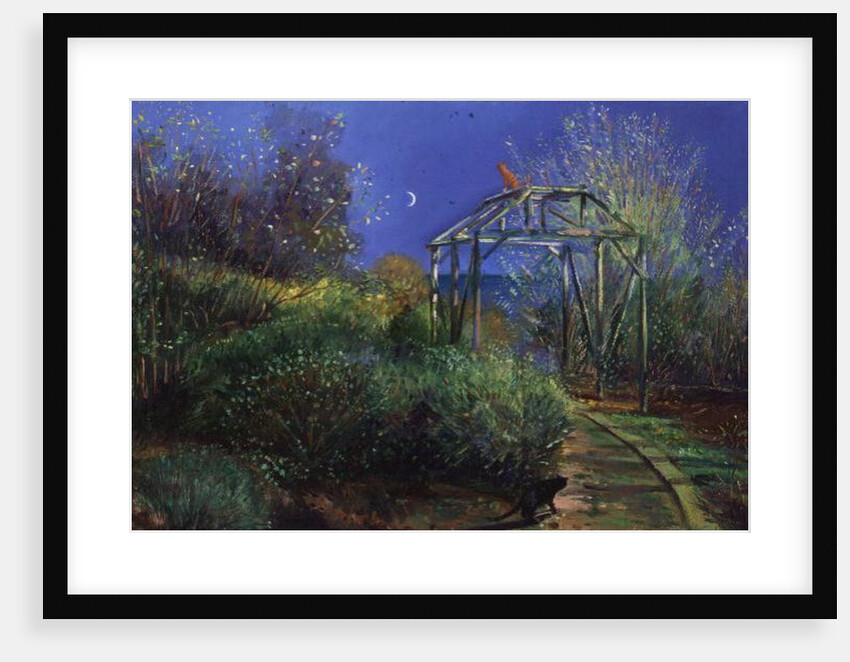 Night Revels by Timothy Easton