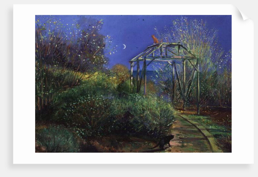 Night Revels by Timothy Easton