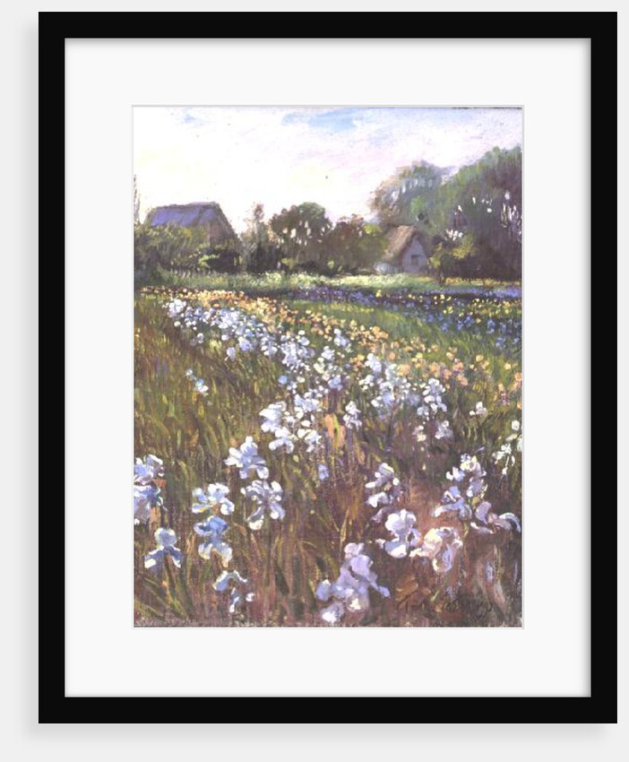 White Irises and Farmstead by Timothy Easton