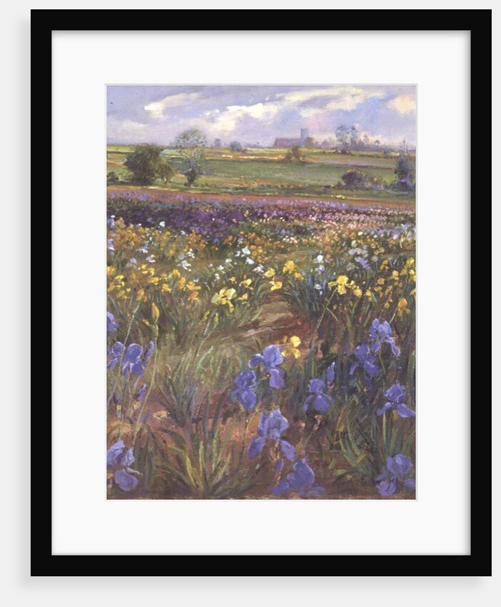 Towards Burgate Church by Timothy Easton