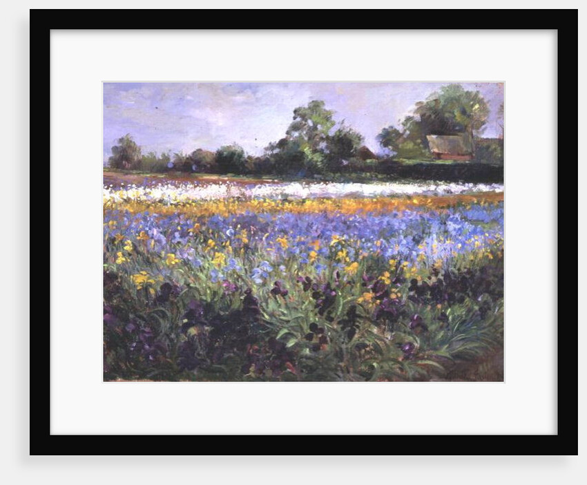 Iris Field and Two Cottages by Timothy Easton