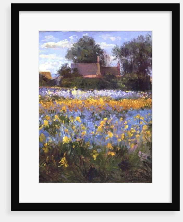 The Enclosed Cottages in the Iris Field by Timothy Easton