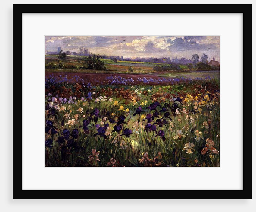 Across to Burgate by Timothy Easton