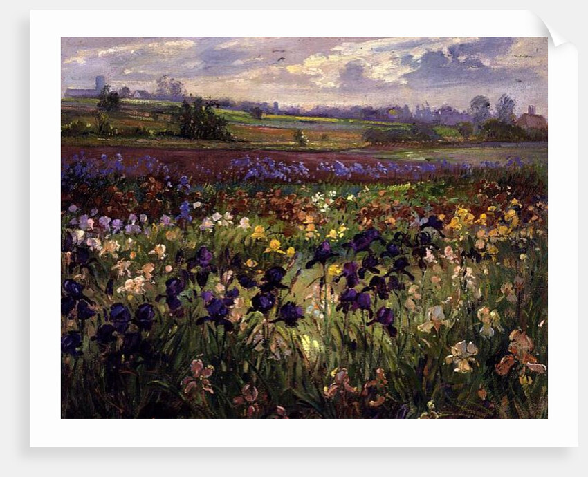 Across to Burgate by Timothy Easton