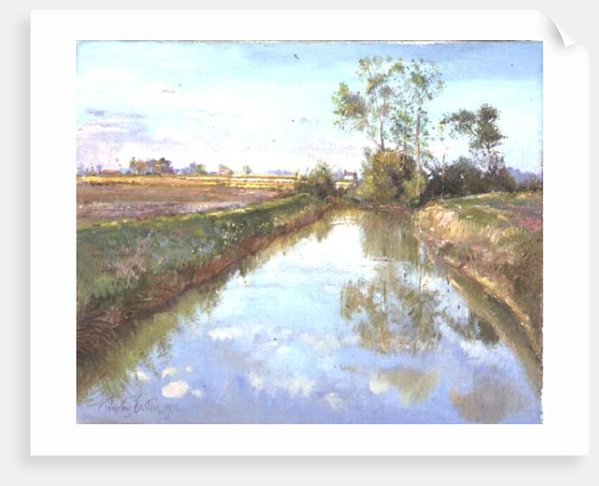 The Fish Pool, Autumn by Timothy Easton