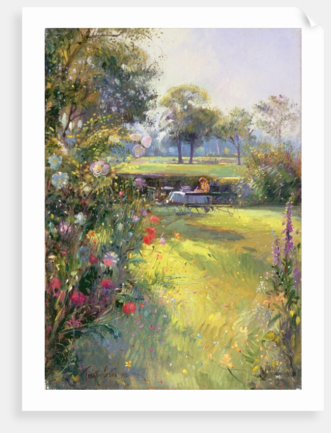 The Morning Letter by Timothy Easton