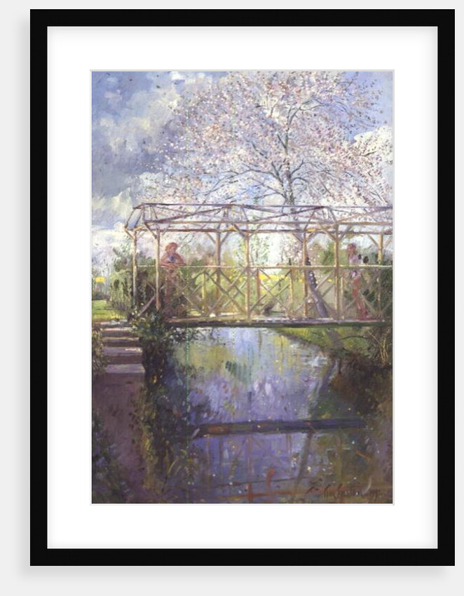 The Trellis Crossing by Timothy Easton