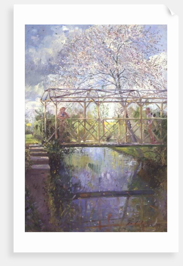 The Trellis Crossing by Timothy Easton