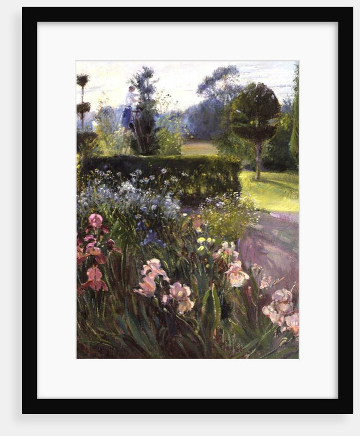 In the Garden - June by Timothy Easton