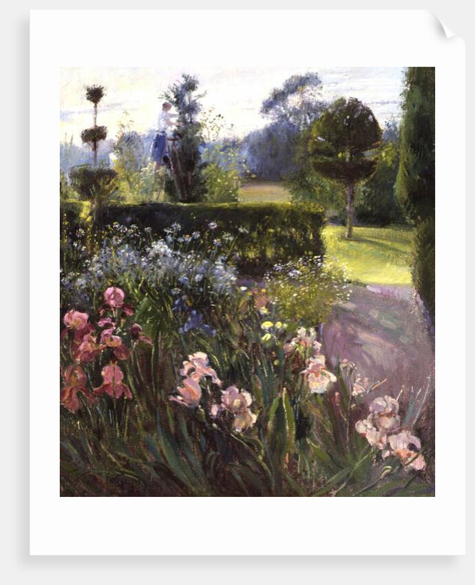 In the Garden - June by Timothy Easton