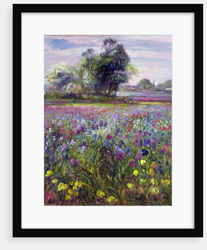 Irises and Distant May Tree, 1993 by Timothy Easton