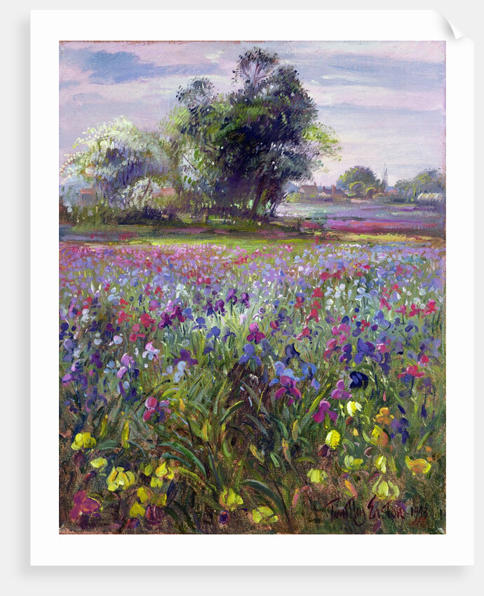 Irises and Distant May Tree, 1993 by Timothy Easton