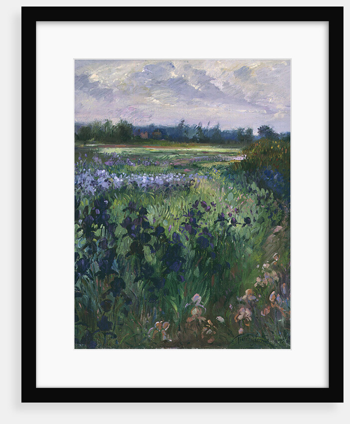 Across Great Green, Burgate, 1992 by Timothy Easton
